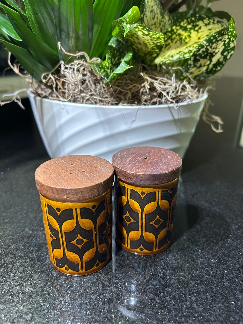 Vintage 1973 Hornsea Pottery England "Heirloom" Autumn Brown salt & pepper set